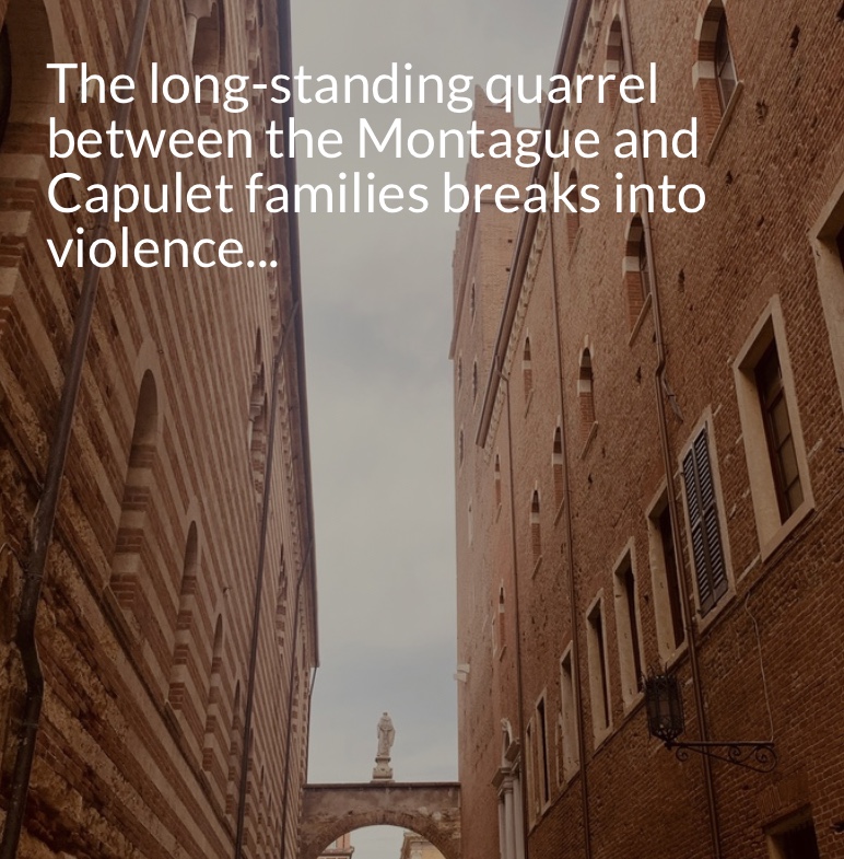 Our trip in Verona by Lucrezia, Anastasia & Raffaele - Ourboox.com