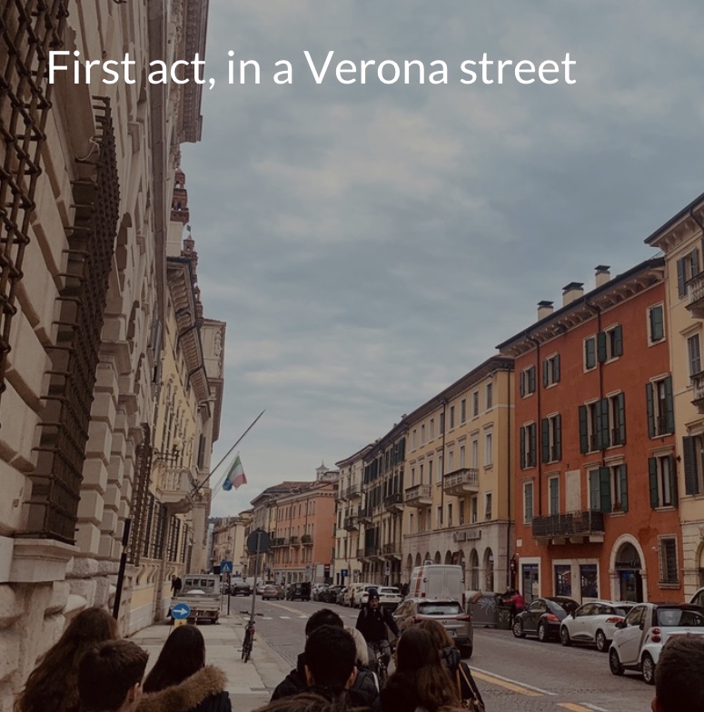 Our trip in Verona by Lucrezia, Anastasia & Raffaele - Ourboox.com