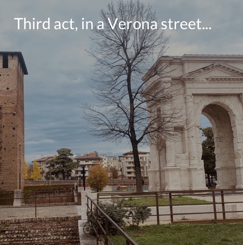 Our trip in Verona by Lucrezia, Anastasia & Raffaele - Ourboox.com