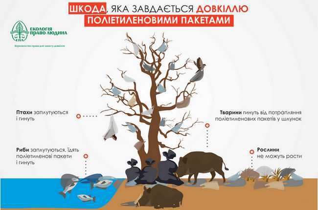 Проблеми утилізації полімерів і пластмас by KATARINA - Ourboox.com