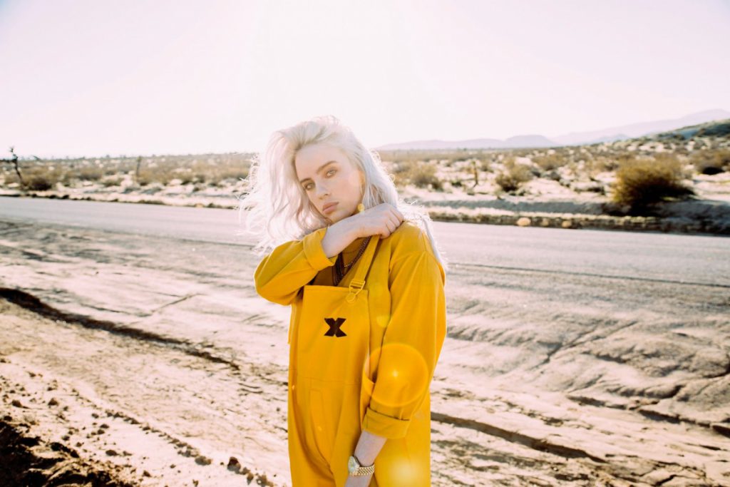 Billie Eilish Pirate Baird O’Connell by Liubaeva Kseniia - Ourboox.com