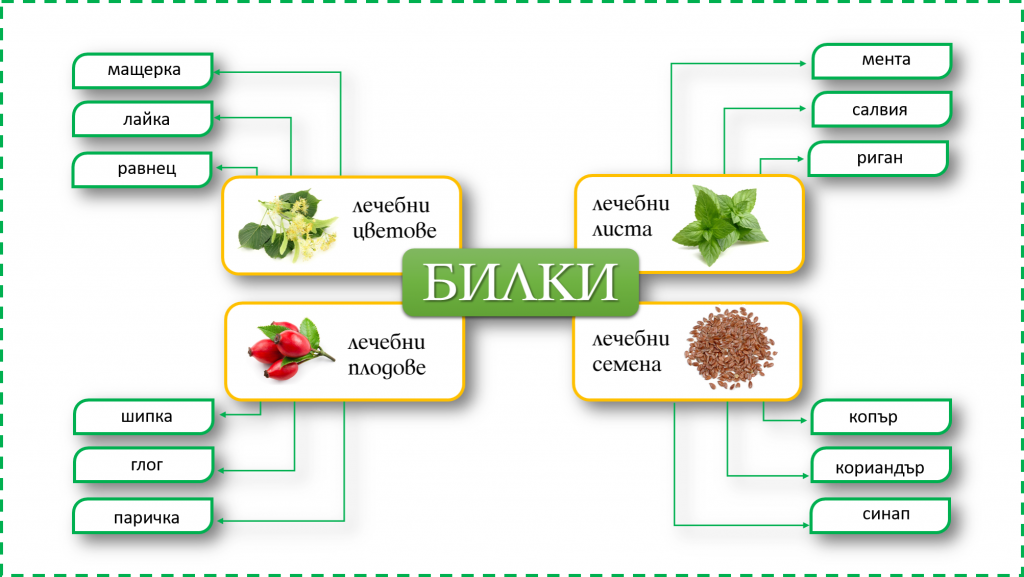 Растенията около нас- БИЛКИТЕ - Ourboox