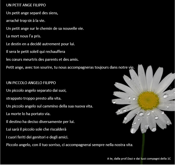 We… una comunità anche se a distanza by Progetto - Illustrated by Istituto Comprensivo Poviglio- Brescello - Ourboox.com