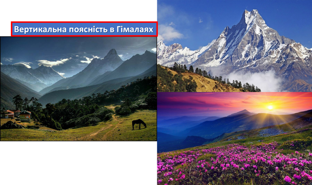 ВЕРТИКАЛЬНА ПОЯСНІСТЬ В ЄВРАЗІЇ.ЗМІНА ПРИРОДИ ЛЮДИНОЮ by Tatiana - Ourboox.com