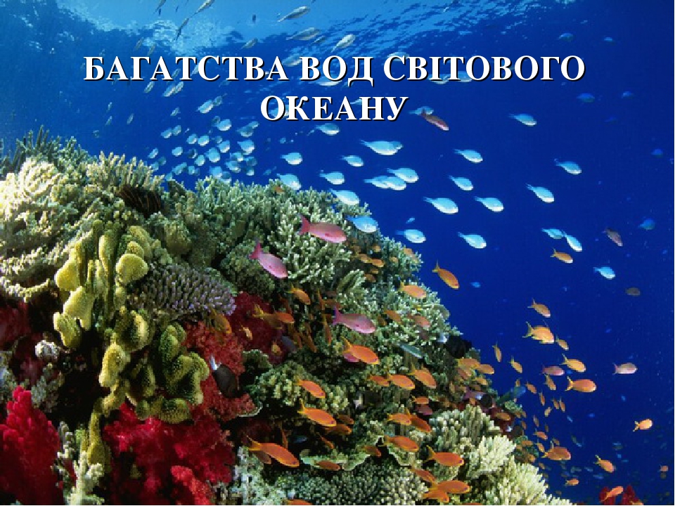 «Життя в морях та океанах. Океан та людина» by Tatiana - Ourboox.com «Життя в морях та океанах. Океан та людина» by Tatiana - Ourboox.com