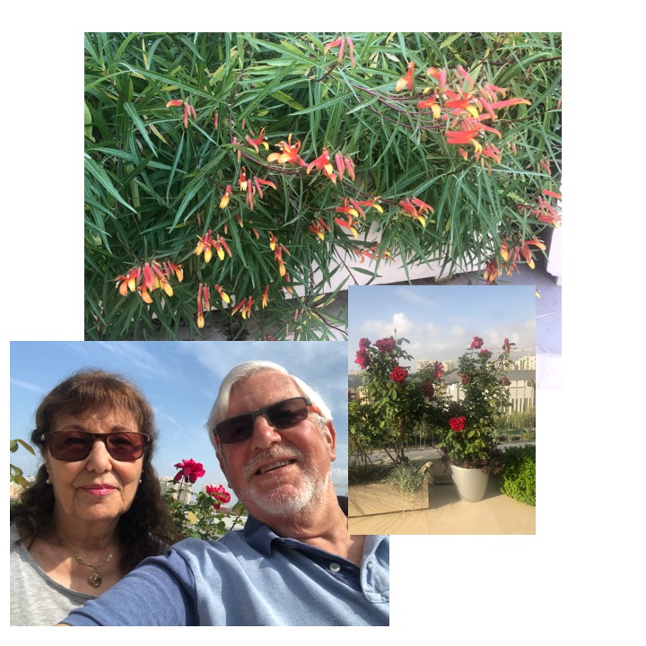 # 357 – Israeli Arabs & Corona by Stephen Pohlmann - Ourboox.com