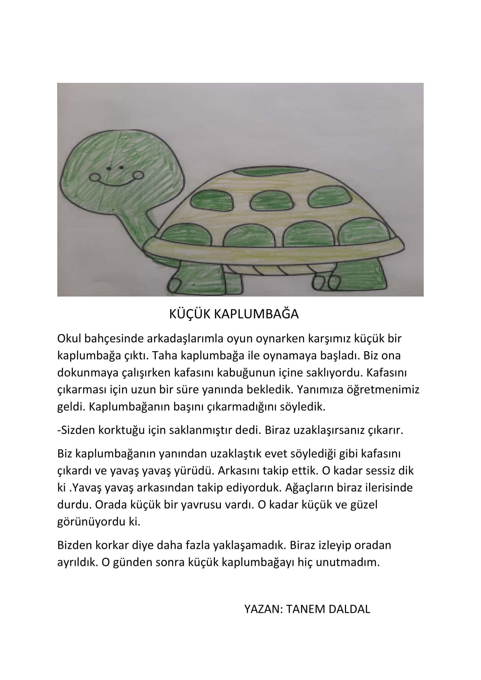 MİNİKLERDEN KÜÇÜK KÜÇÜK HİKAYELER by SELMA ALBAYRAK - Ourboox.com