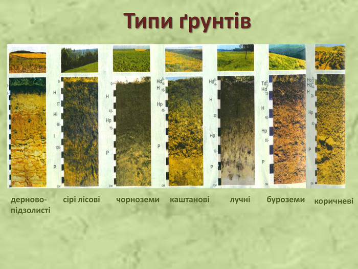 Грунти України - Ourboox