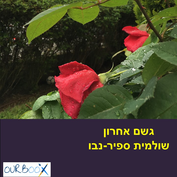 הגשם האחרון שולמית ספיר-נבו by Shulamit Sapir-Nevo - Ourboox.com הגשם האחרון שולמית ספיר-נבו by Shulamit Sapir-Nevo - Ourboox.com