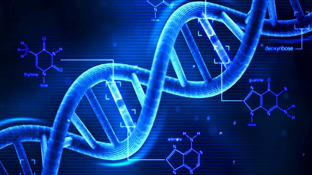 LA DIFFERENZA TRA DNA E RNA by Mariarca Gaglione - Ourboox.com
