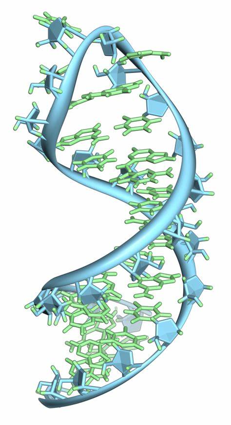 LA DIFFERENZA TRA DNA E RNA by Mariarca Gaglione - Ourboox.com