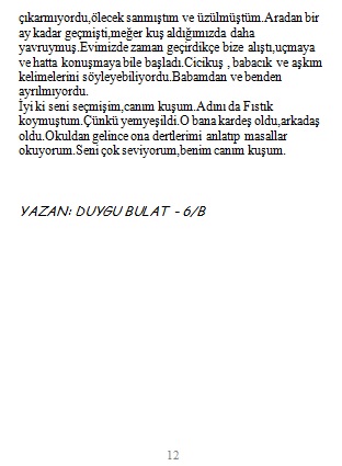 ÇOCUKLARIN KALEMİNDEN by Kadriye Çelebi - Ourboox.com
