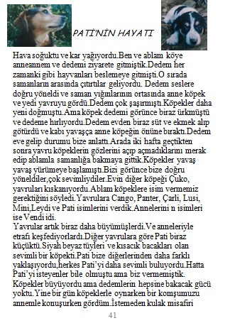 ÇOCUKLARIN KALEMİNDEN by Kadriye Çelebi - Ourboox.com