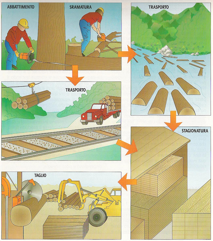 IL LEGNO by ANNA CASTALDO - Illustrated by ANNA E ANTONIO CASTALDO - Ourboox.com