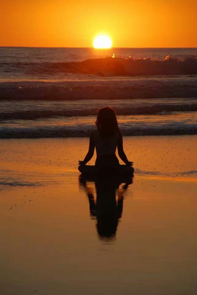 The Wisdom of the the Sea by Maureen Slama - Ourboox.com