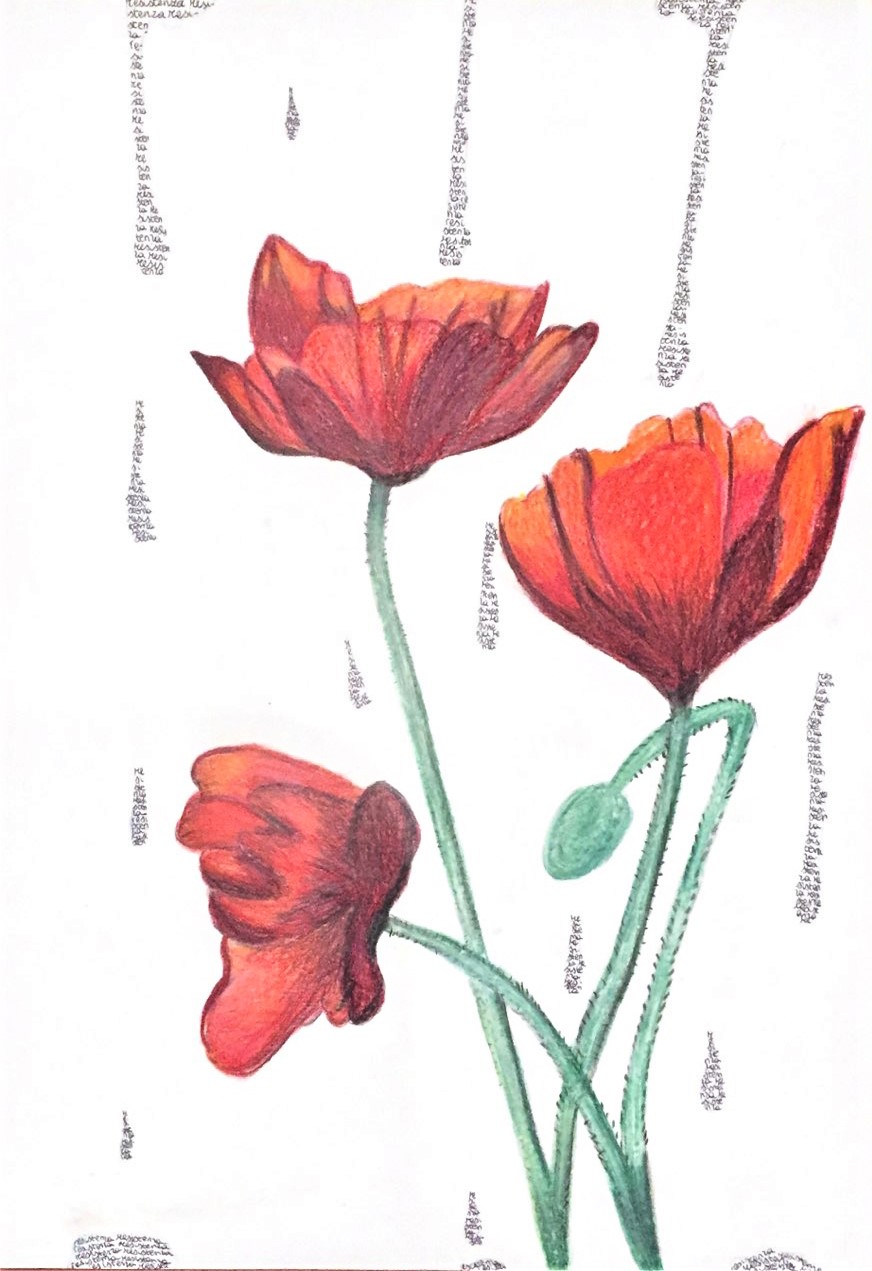 Il fiore della resistenza by Nadia Cristofaro - Ourboox.com