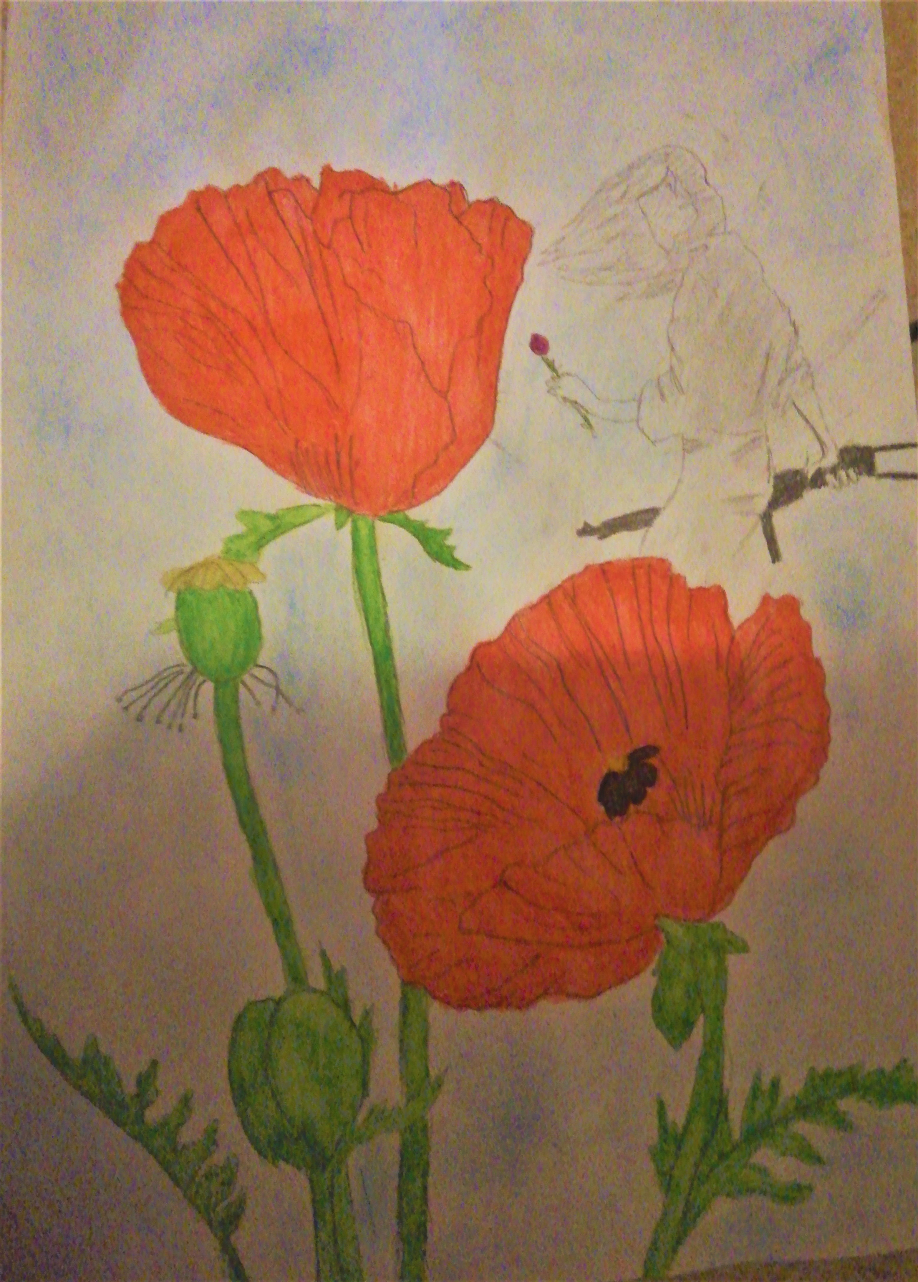 Il fiore della resistenza by Nadia Cristofaro - Ourboox.com
