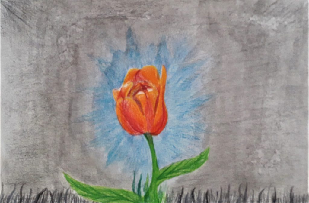 Il fiore della resistenza by Nadia Cristofaro - Ourboox.com
