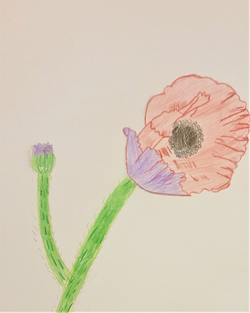 Il fiore della resistenza by Nadia Cristofaro - Ourboox.com