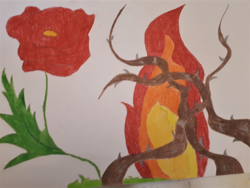 Il fiore della resistenza by Nadia Cristofaro - Ourboox.com