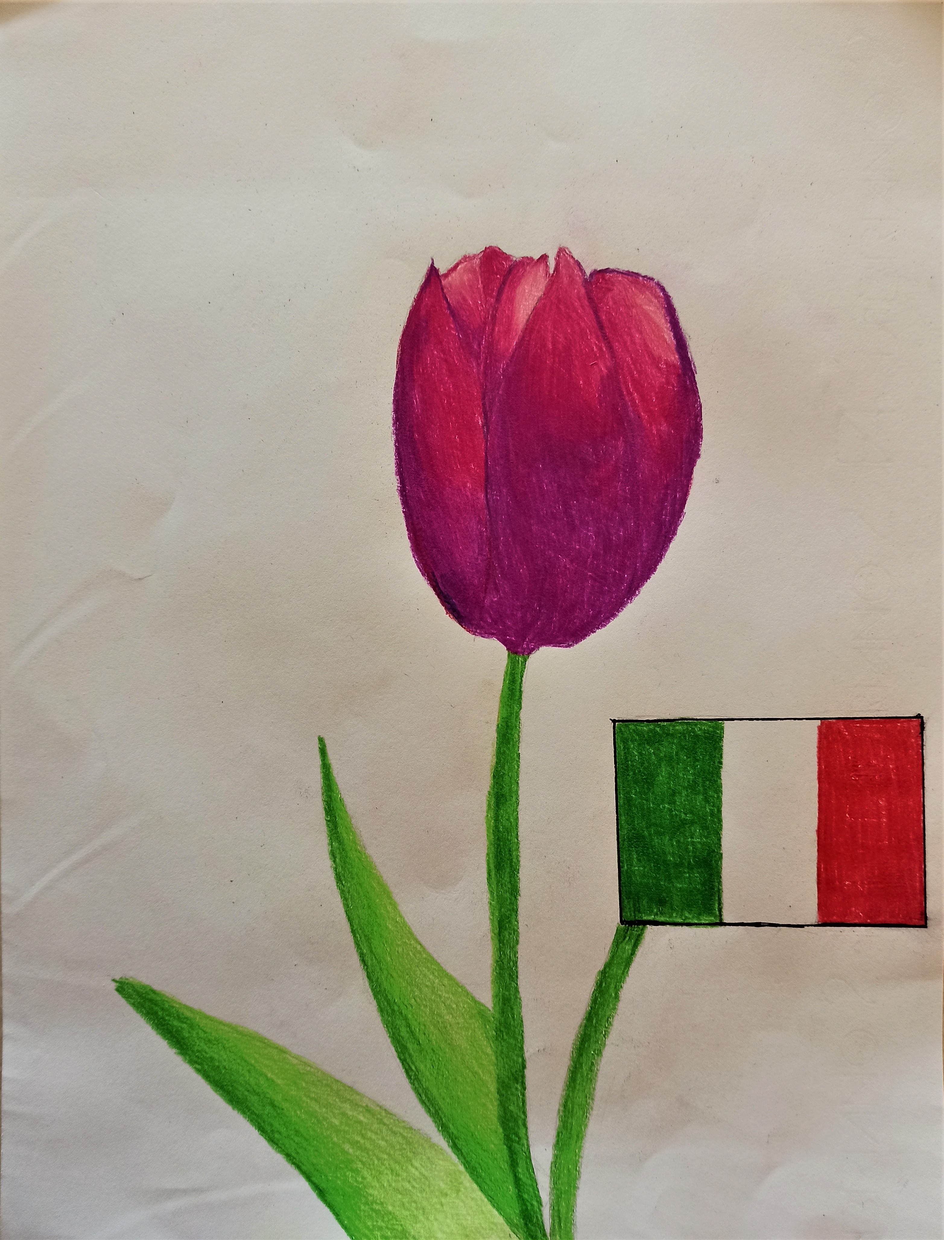Il fiore della resistenza by Nadia Cristofaro - Ourboox.com