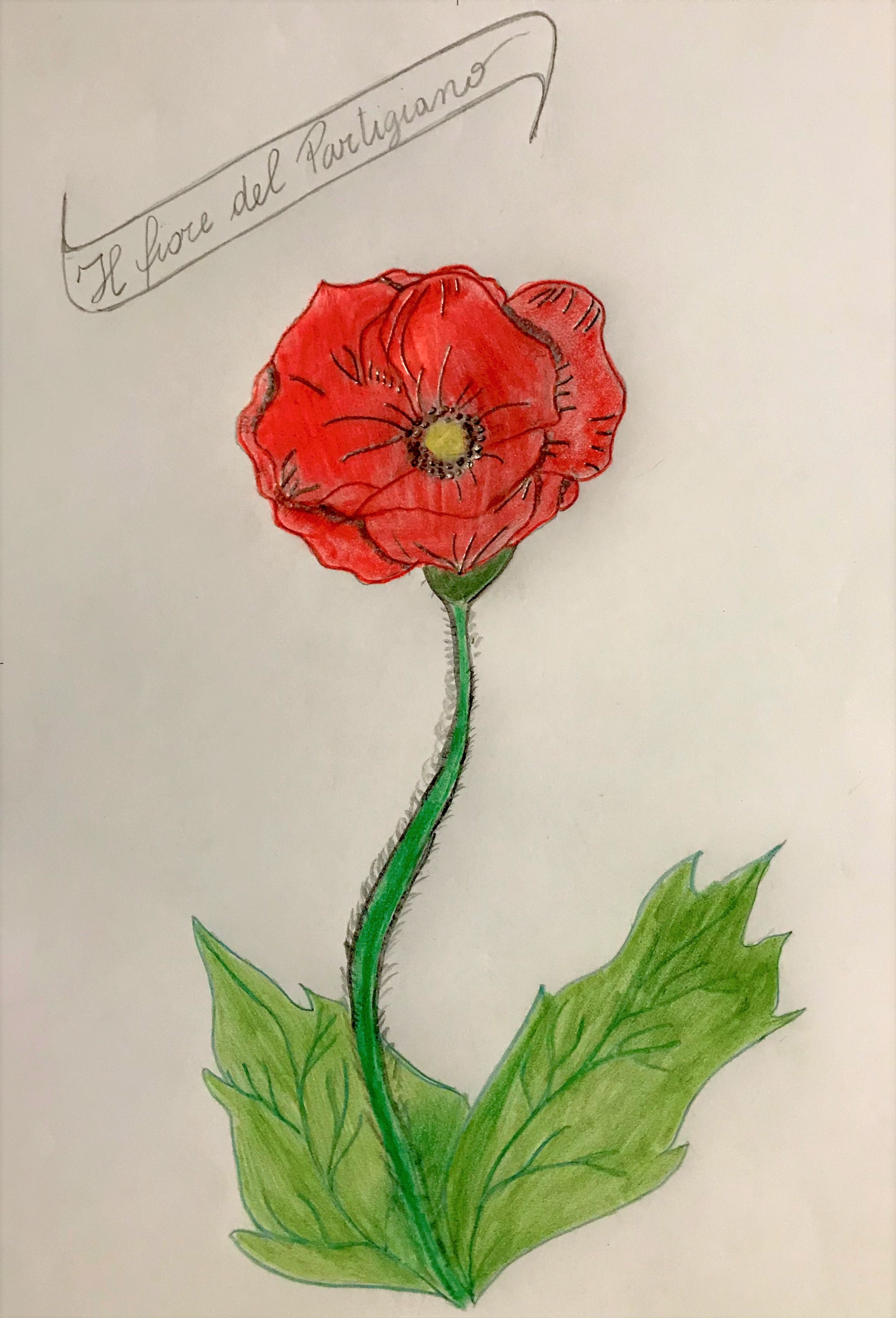 Il fiore della resistenza by Nadia Cristofaro - Ourboox.com