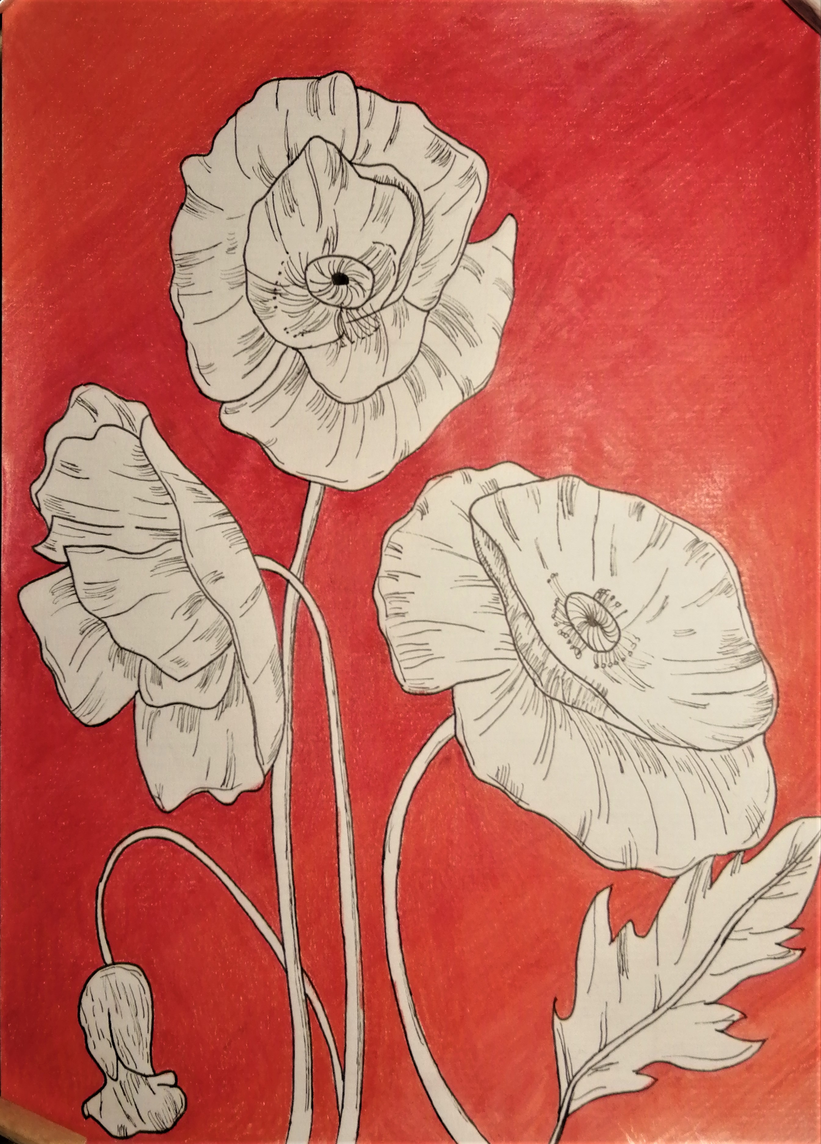 Il fiore della resistenza by Nadia Cristofaro - Ourboox.com