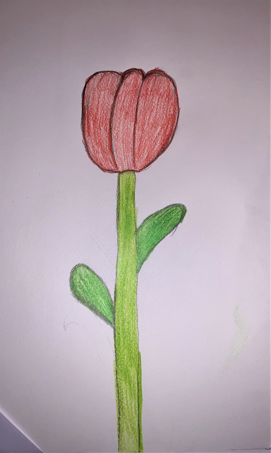Il fiore della resistenza by Nadia Cristofaro - Ourboox.com