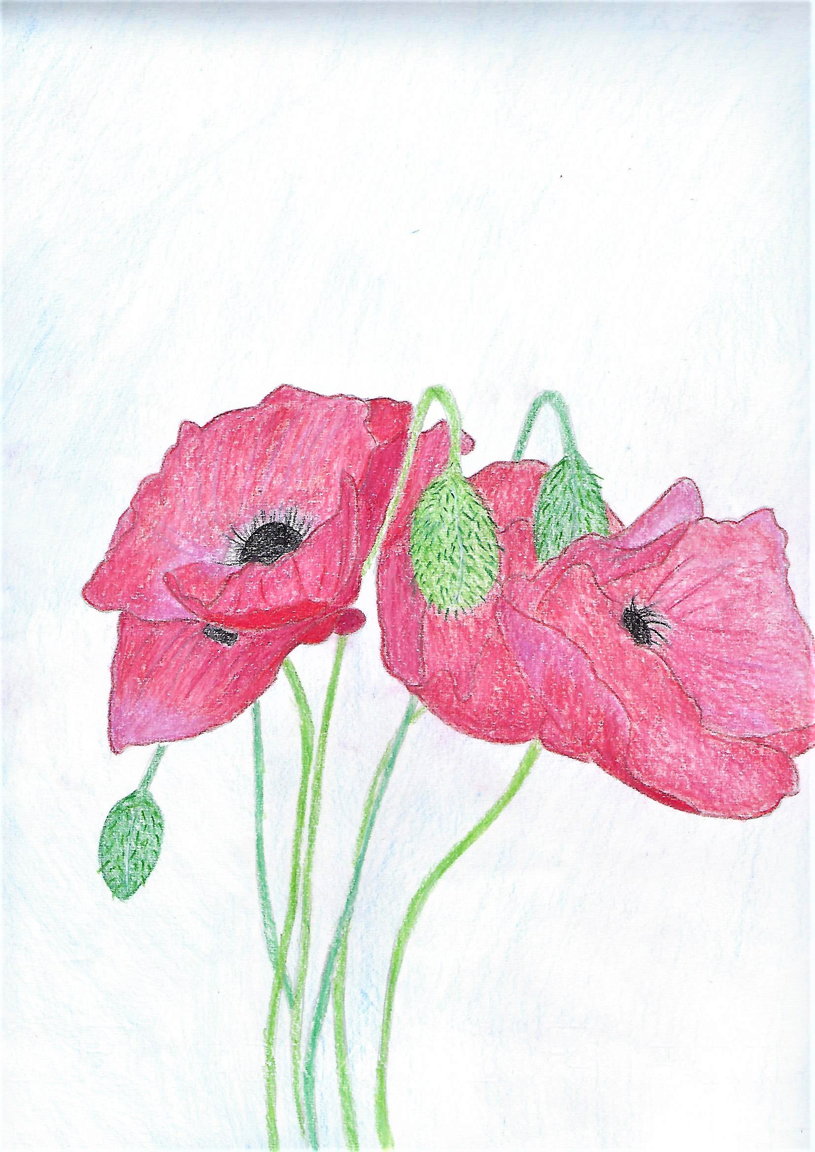 Il fiore della resistenza by Nadia Cristofaro - Ourboox.com