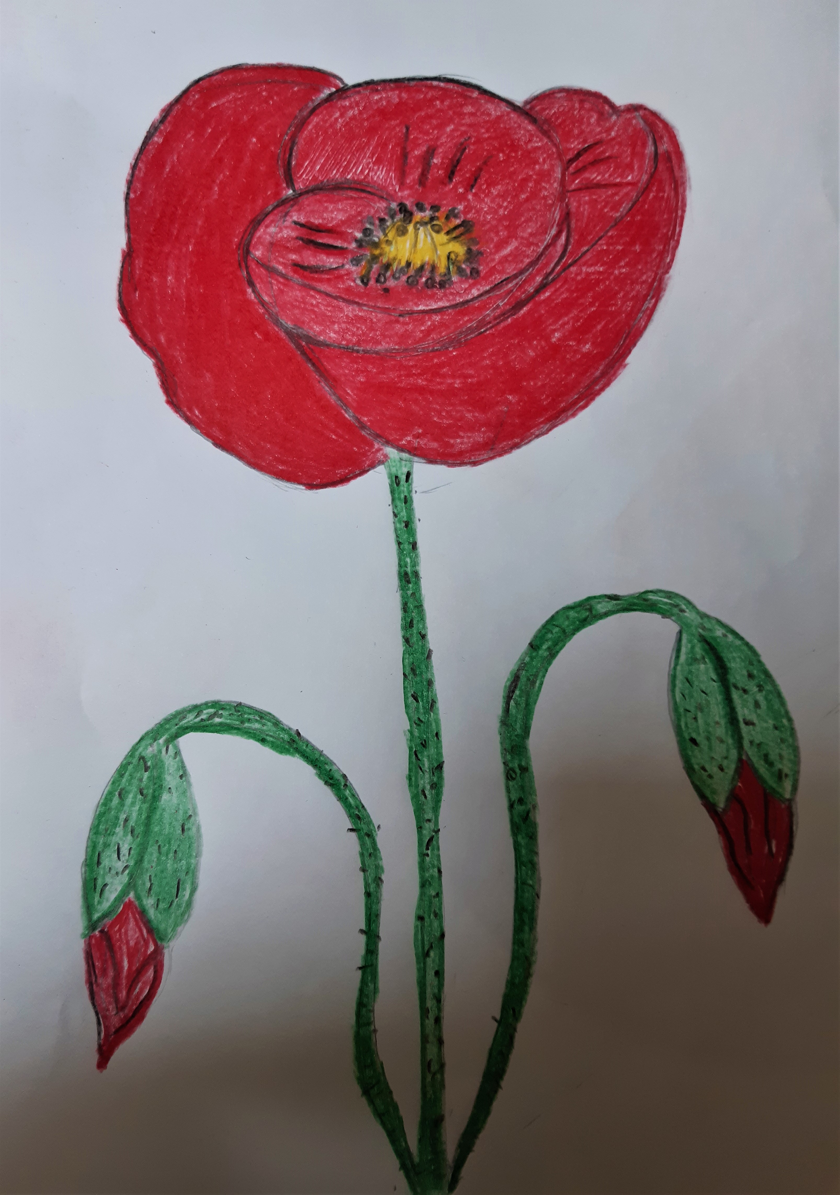 Il fiore della resistenza by Nadia Cristofaro - Ourboox.com