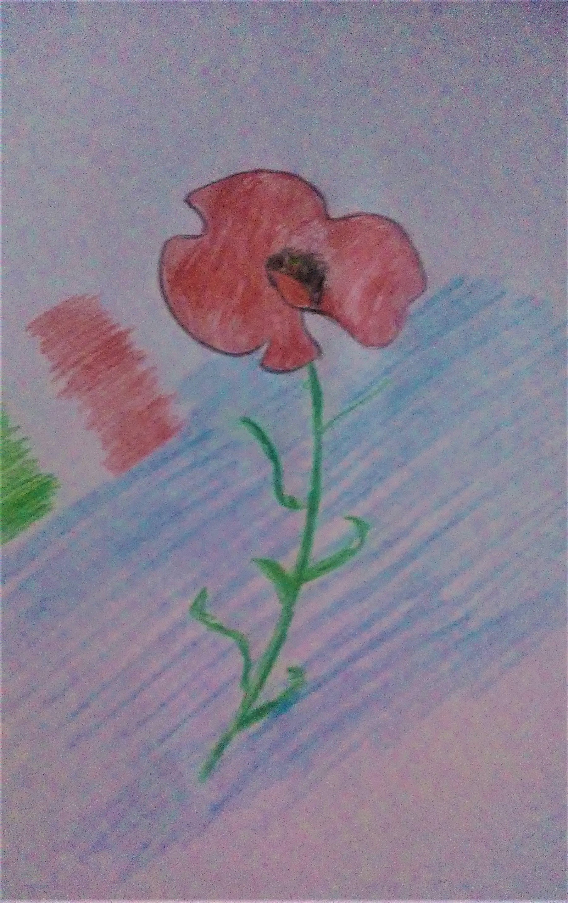 Il fiore della resistenza by Nadia Cristofaro - Ourboox.com