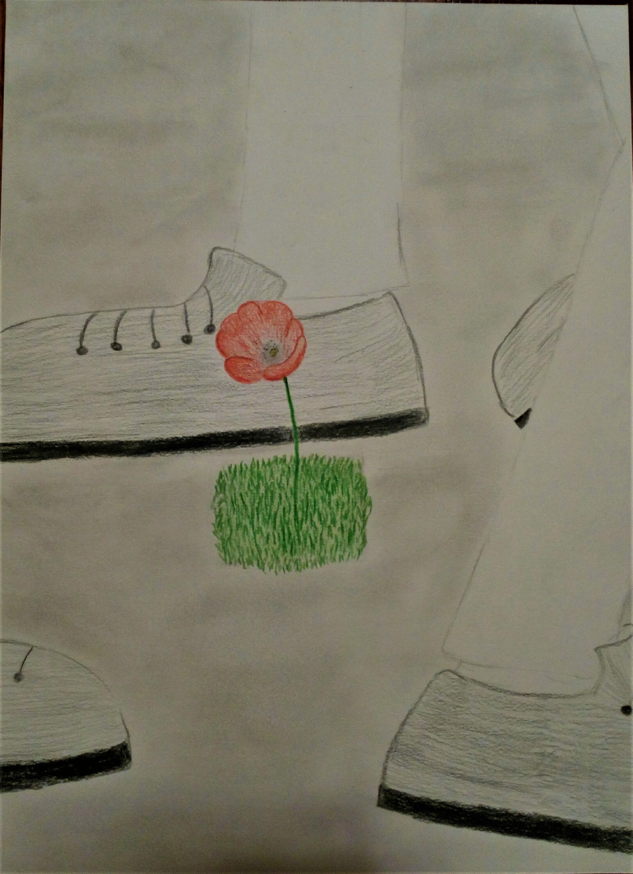 Il fiore della resistenza by Nadia Cristofaro - Ourboox.com