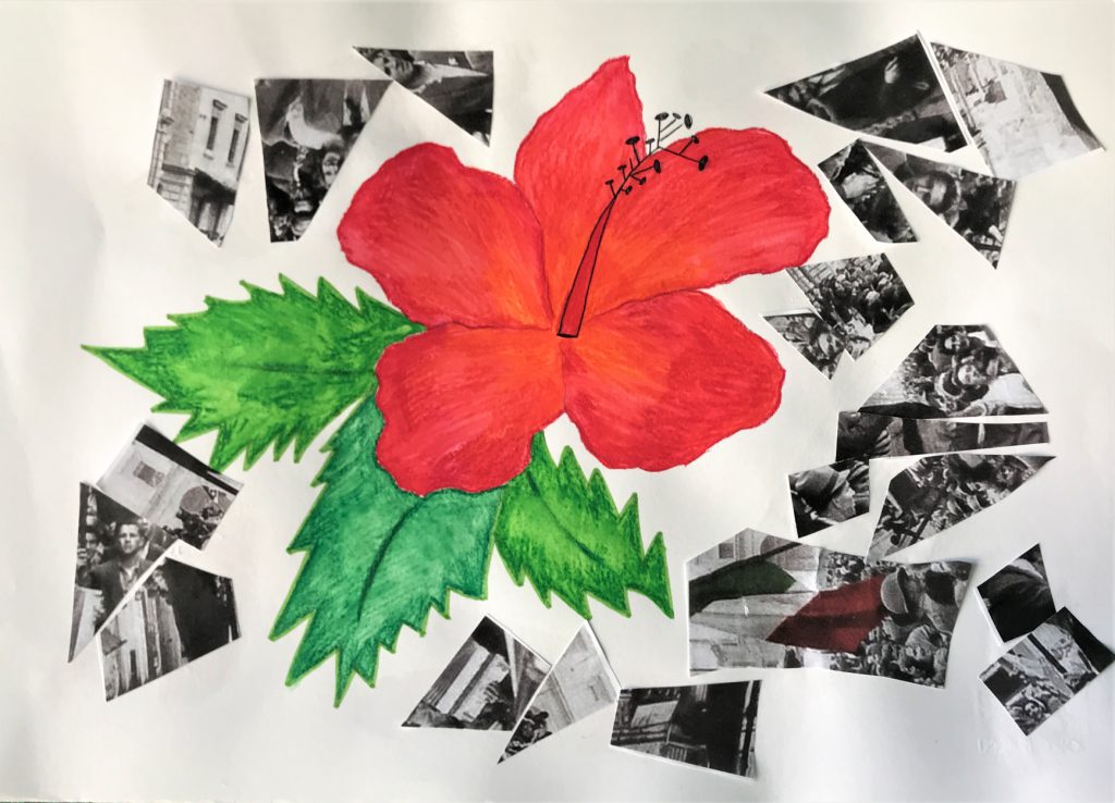Il fiore della resistenza by Nadia Cristofaro - Ourboox.com
