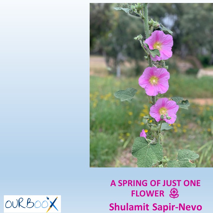 A SPRING OF JUST ONE FLOWER by Shulamit Sapir-Nevo - Illustrated by Shulamit Sapir-Nevo - Ourboox.com A SPRING OF JUST ONE FLOWER by Shulamit Sapir-Nevo - Illustrated by Shulamit Sapir-Nevo - Ourboox.com