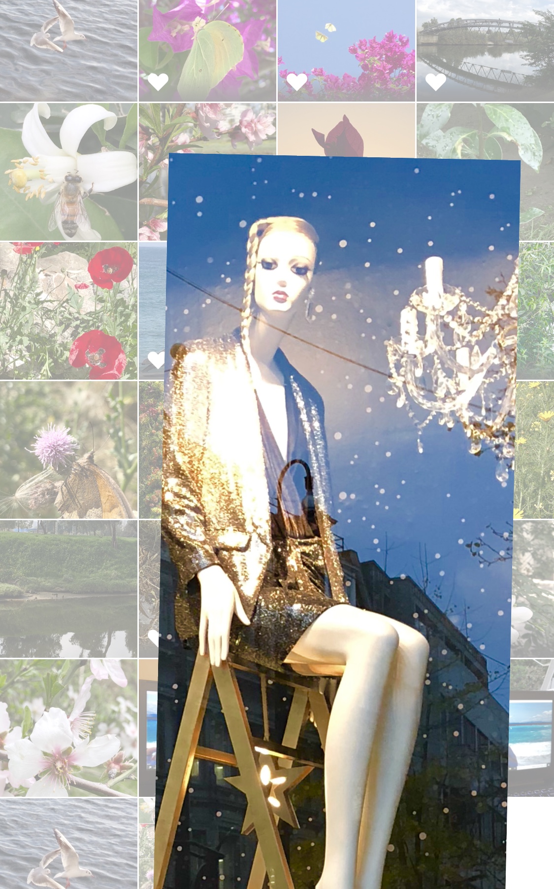A SPRING OF JUST ONE FLOWER by Shulamit Sapir-Nevo - Illustrated by Shulamit Sapir-Nevo - Ourboox.com