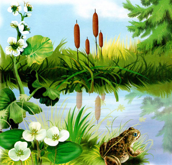 Грозното патенце от Таня Петкова by Tania Antonova Petkova - Illustrated by "Таня ПетковаЦСОП"Леда Милева - Ourboox.com