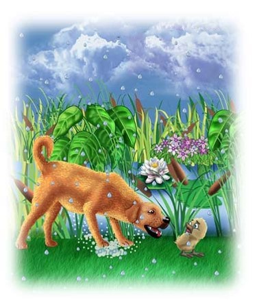 Грозното патенце от Таня Петкова by Tania Antonova Petkova - Illustrated by "Таня ПетковаЦСОП"Леда Милева - Ourboox.com