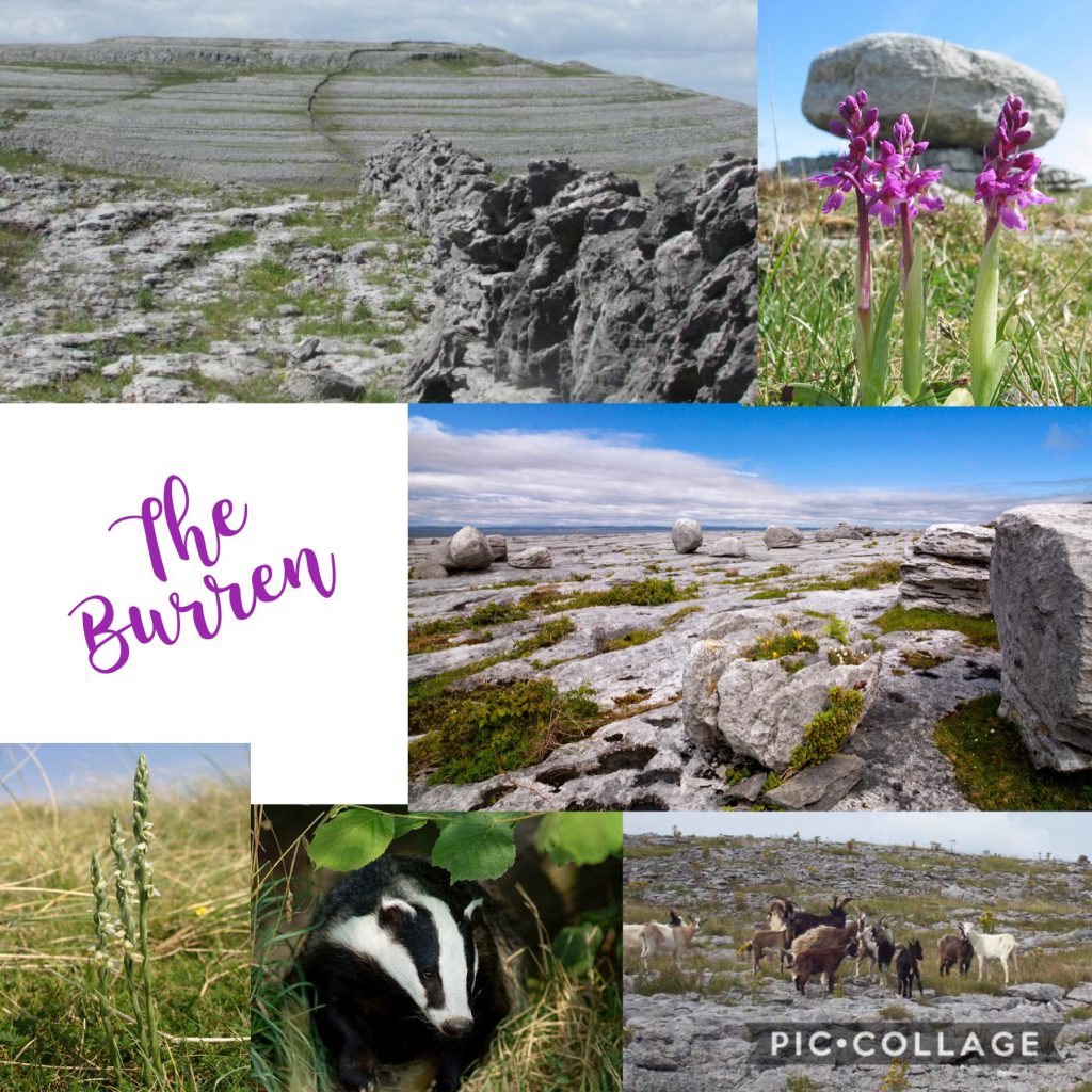 Discovering Ireland – Découvrir l’Irlande by Kate Chambers - Illustrated by The students, images selected by them on commons.wikimedia.org or search.creativecommons.org - Ourboox.com