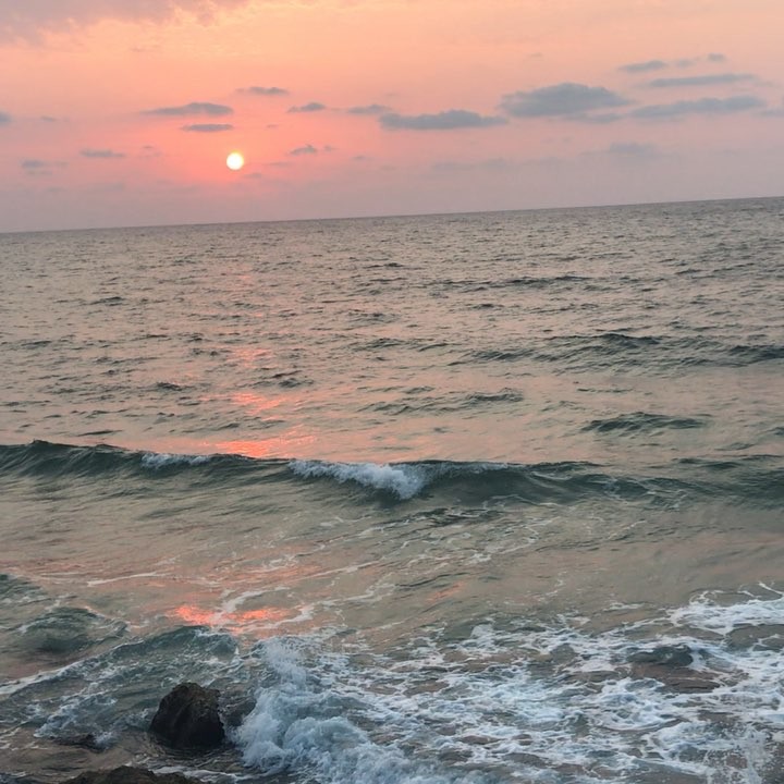 The Wisdom of the the Sea by Maureen Slama - Ourboox.com