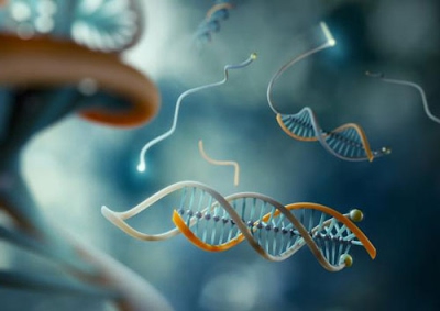 Нанотехнології в біології - Ourboox