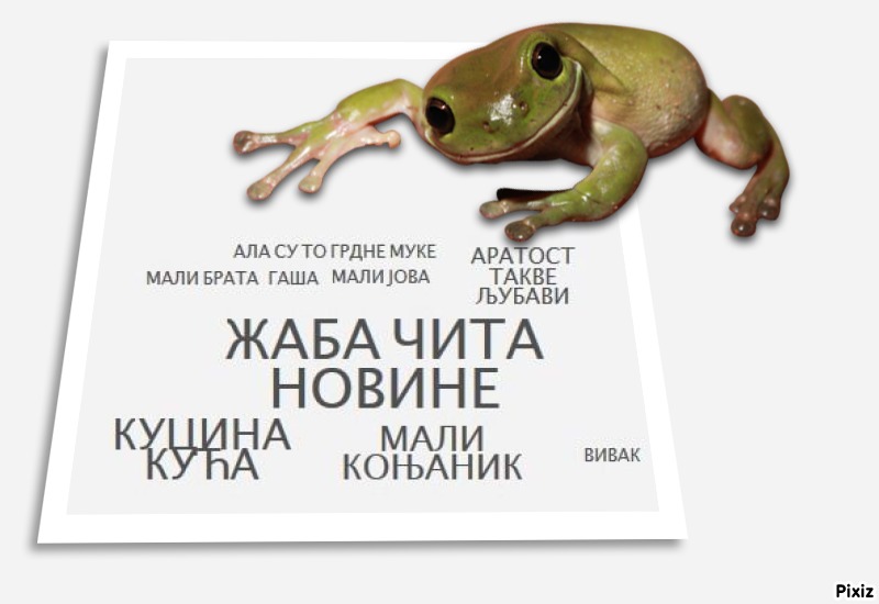 Ала је леп овај свет by Biljana Popović - Ourboox.com