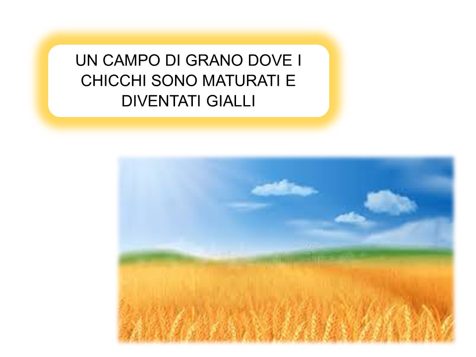 Giallo il colore della…gioia by Antonella Tosches - Illustrated by Antonella Tosches - Ourboox.com