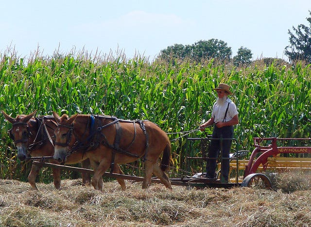 The Amish way of life. Ourboox