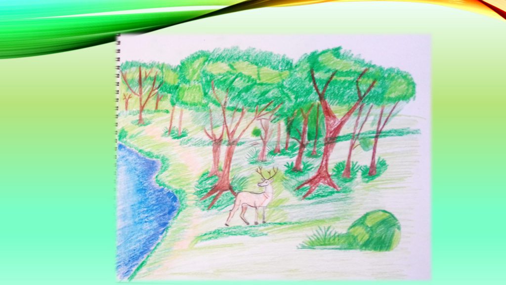 Седмица на гората 2020 by Denka Koleva - Illustrated by 5 ЦОУД група - Ourboox.com
