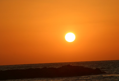 The Wisdom of the the Sea by Maureen Slama - Ourboox.com