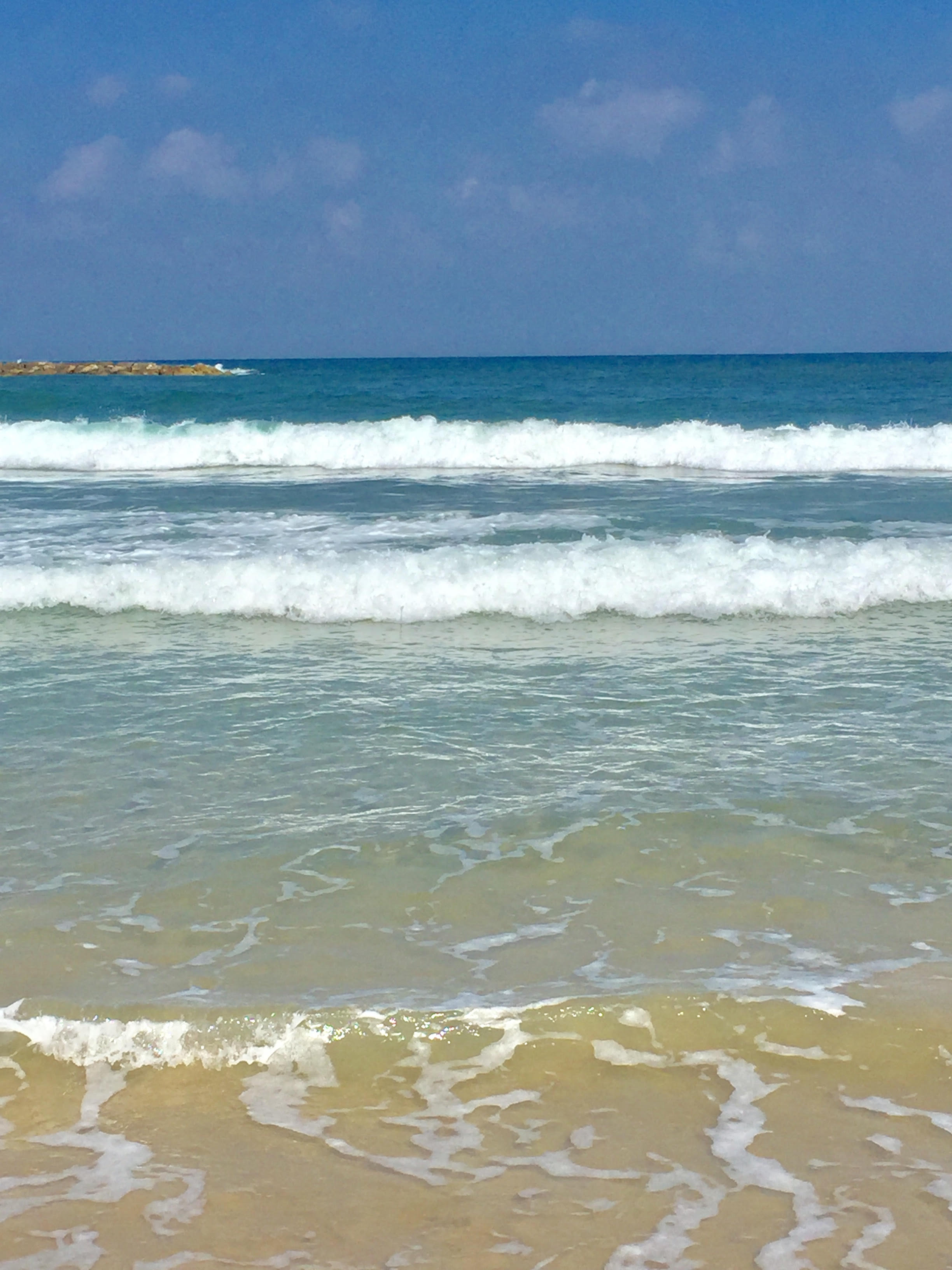 The Wisdom of the the Sea by Maureen Slama - Ourboox.com
