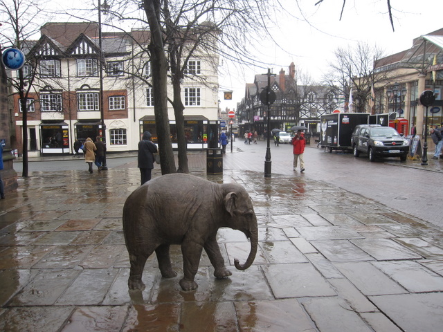 The little elephant by Bar Ben Avraham - Ourboox.com