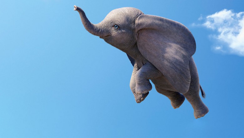 The little elephant by Bar Ben Avraham - Ourboox.com