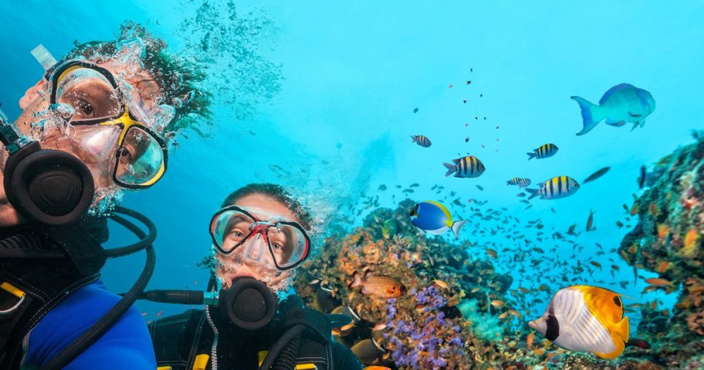 Mes Aventures De Madère by Maciek Zelenicky - Ourboox.com