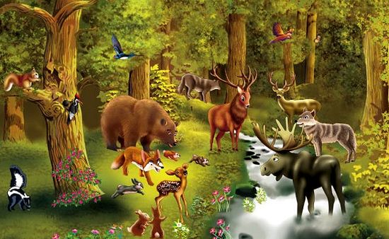 KENDİ MASALININ KAHRAMANI OL by Ramazan TEKER - Illustrated by KENDİ MASALININ KAHRAMANI OL PROJESİ - Ourboox.com